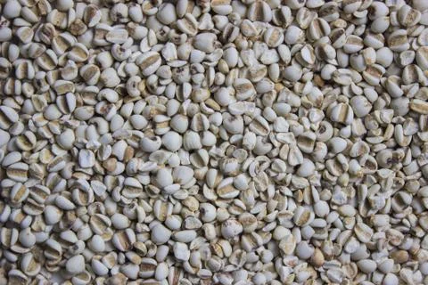 White bean background Stock Photos