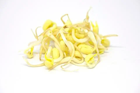 White bean sprouts isolate on white background Stock Photos
