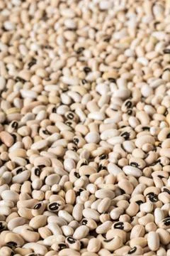 White bean texture closeup Stock Photos