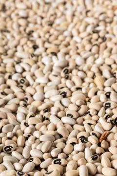 White bean texture closeup Stock Photos