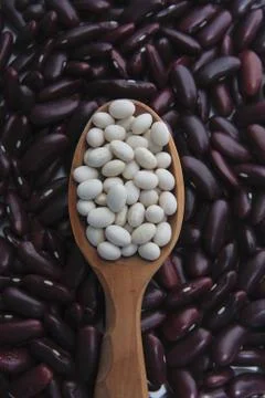 White beans and red beans Stock Photos