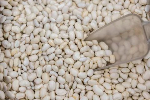 White beans. background. Beans Stock Photos