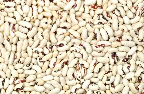 White beans background Stock Photos