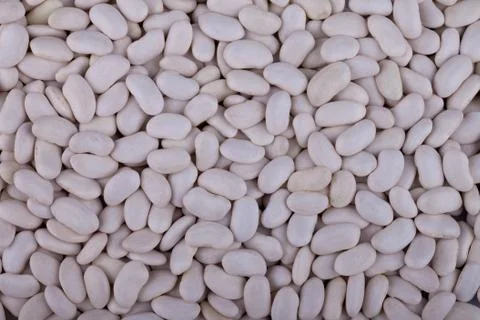 White beans background Stock Photos