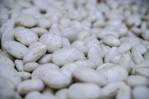 White beans background Stock Photos