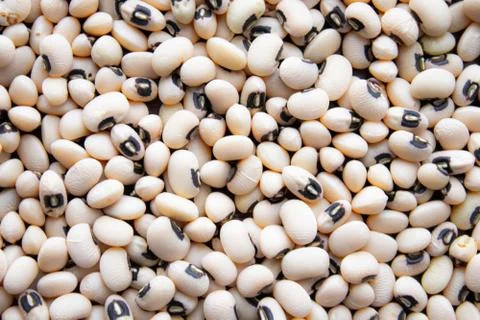 White beans background. Stock Photos