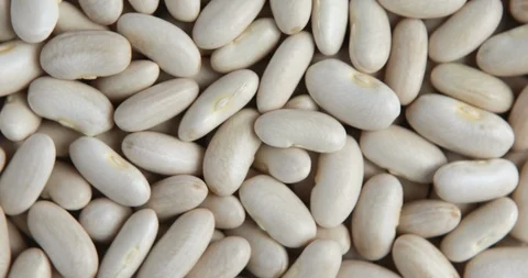 White Beans background rotation Stock Footage 95939054