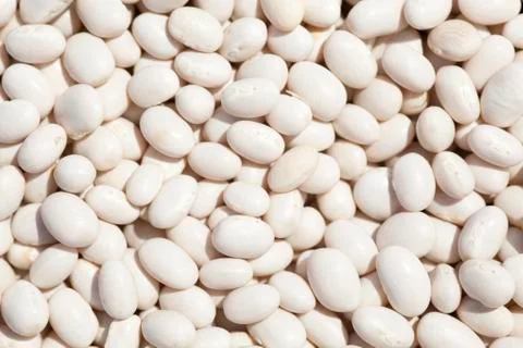 White beans close up background, texture Stock-Fotos