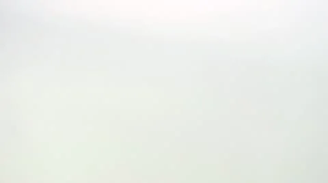 White beans, close-up Stock Footage 11332762