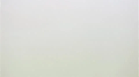 White beans, close-up Stock Footage 11332763