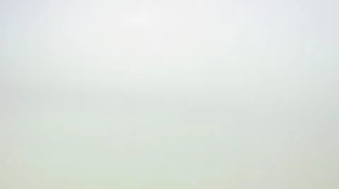 White beans, close-up Stock Footage 11332765