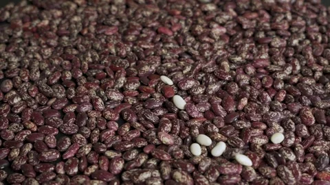 White beans falling into pinto beans mix 4k slow motion Stockbeeldmateriaal 333428710