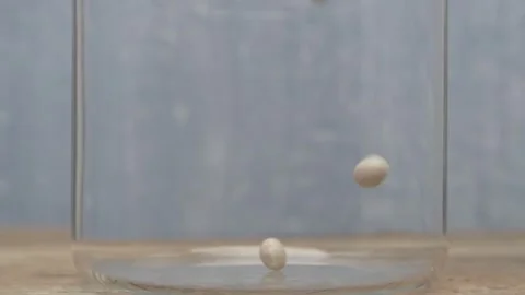 White Beans Gracefully Falling into a Clear Glass Jar in a WellDecorated Kitchen Видео 288580994