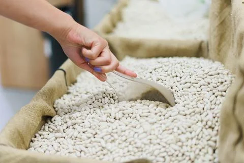 White Beans on Hand Stock Photos