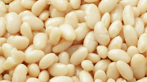 White beans or cannellini beans. Stock Footage 62555405