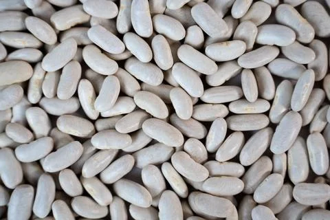 White beans pattern, organic protein-rich food background Stock Photos