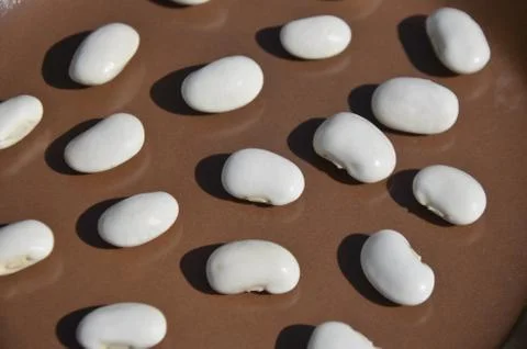 White beans  Stock Photos