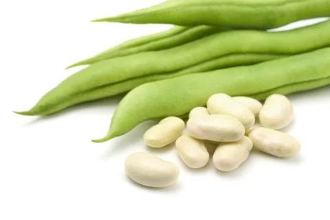 White beans Foto stock