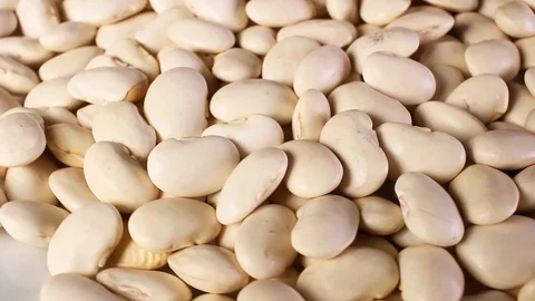 White beans raw bean rotating pattern macro texture background backdrop footage Stock Footage 91377811