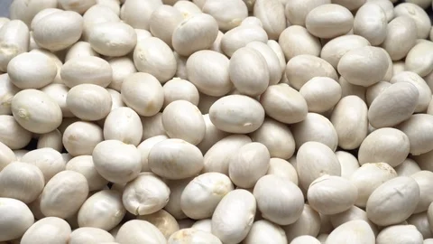 White beans in rotation. Close-up. Stock Footage 100817811