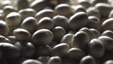 White beans in rotation. Close-up. Stock Footage 100818024