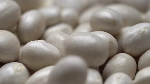 White beans in rotation. Close-up. Stock Footage 100819030