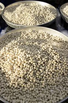 White Beans In Round Tray Vertical Stock Photos