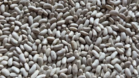 White beans, tracking shot on cannellini beans Stock Footage 322021316