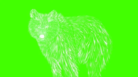 White bear green background animation Stock Footage 171565150