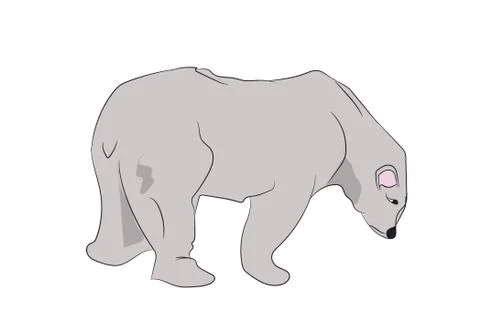 White bear stands, vector Stock-Illustration