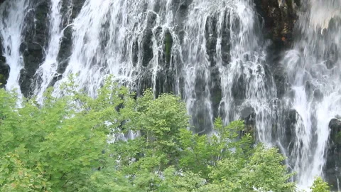 The White Beard Falls of Fresh Greenery 스톡 동영상 330245987