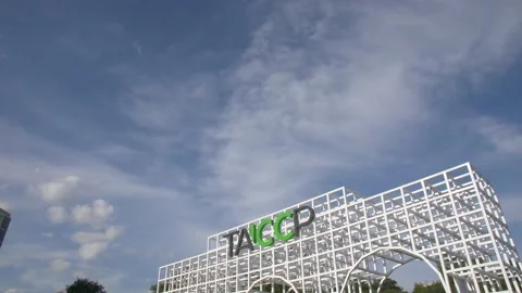 White Beautiful Arch Stock Footage 134284164