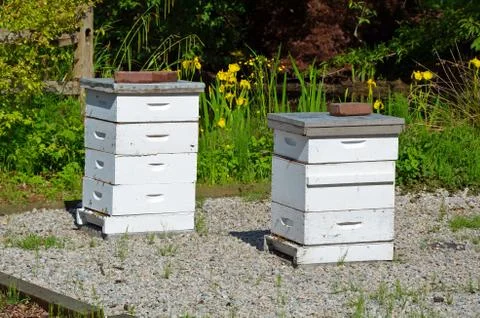 White bee boxes Foto stock