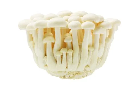 White beech mushroom Foto stock