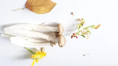 White beech mushroom, Stock Photos