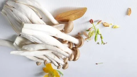 White beech mushroom, Stock Photos