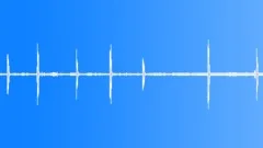 White Bellbird (Procnias albus) Sound Effect