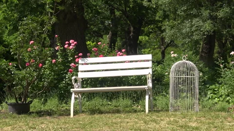 White bench in the botanical garden, landscape Stock Footage 340131295