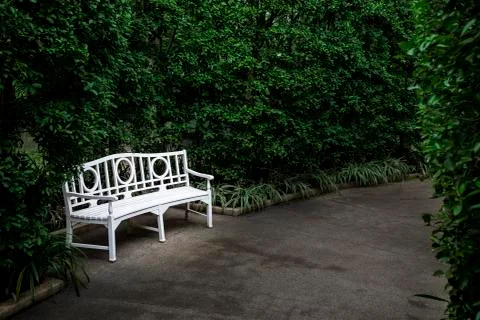 White bench with bush Stock Photos