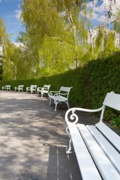 White bench in spring park on petrin 库存照片