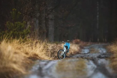 White bicycle parked on path in forest. Stock Photos