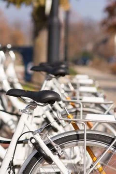 White bicycles in a row Stock Photos