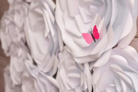 White big paper flowers on wall. handmade craft creative abstraction. Stock Photos