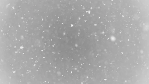 White big snow flakes falling down Stock Footage 101828421