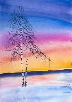 White birch and winter sunset Stock Illustration
