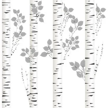 White birch background Stock Illustration