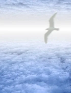 White Bird in Clouds Stock Illustration