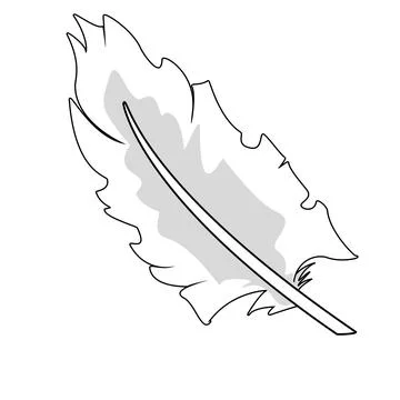 White bird feather Illustrazione stock