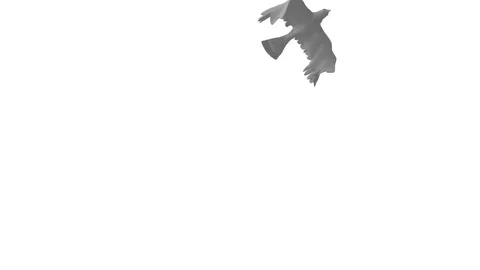 White bird flying by Stock Footage 83434127