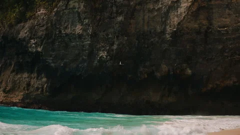 White bird flying over ocean near cliff Kelingking Beach Stock Footage 305886885